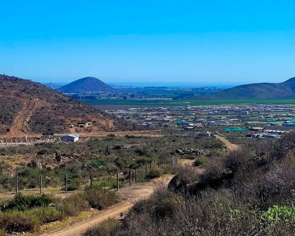 CruzdeCañaPandeAzúcar1