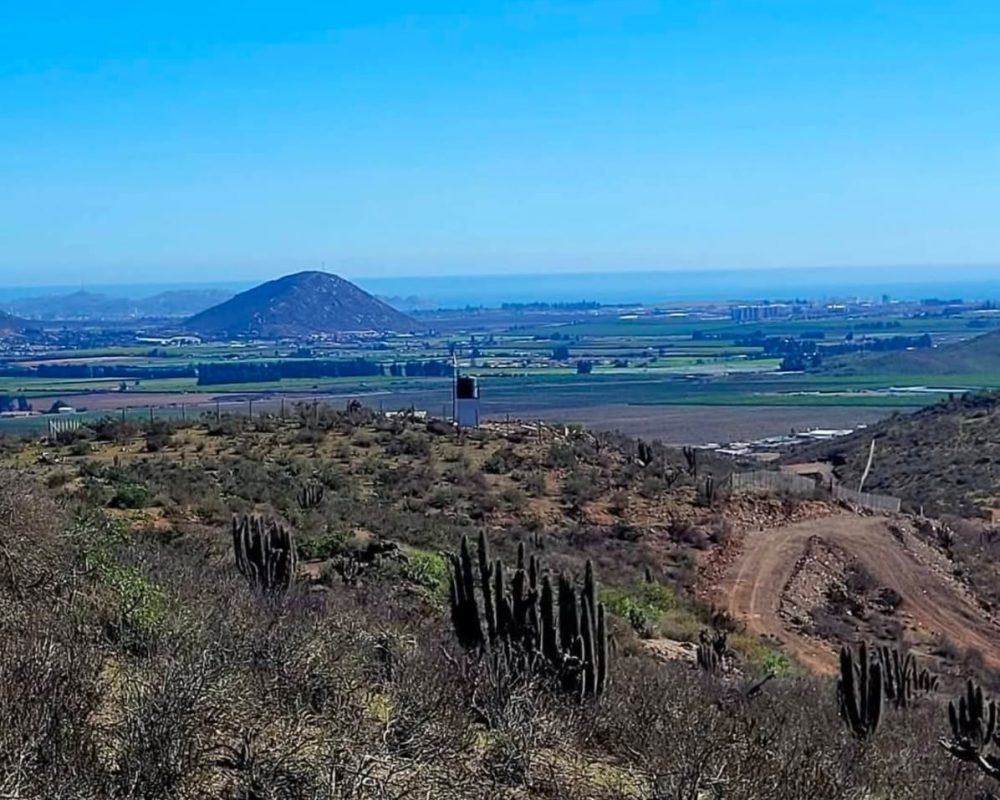 CruzdeCañaPandeAzúcar4