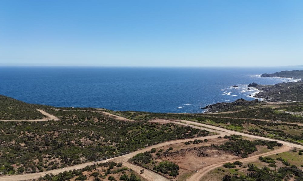 WhatsApp Image 2026-03-11 at 6.50.40 PM