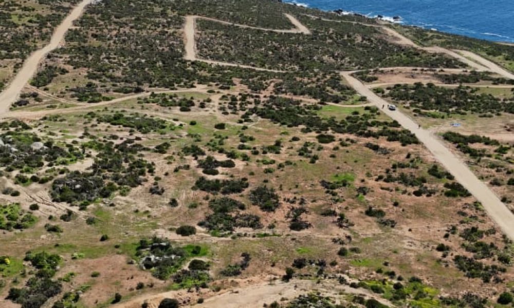 WhatsApp Image 2026-03-11 at 6.50.41 PM