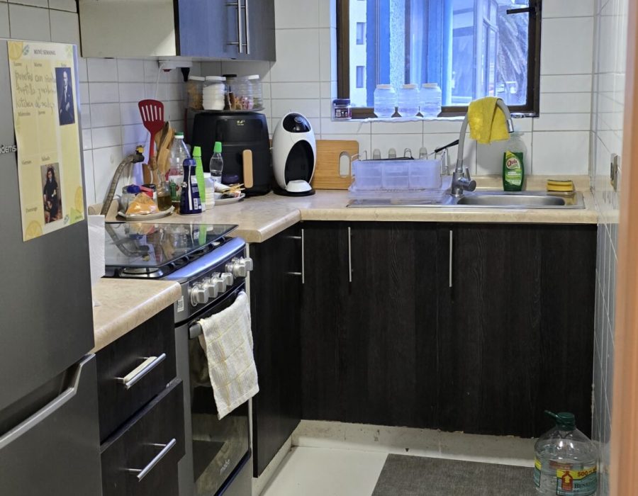 deptoPenhuelasVisMar1