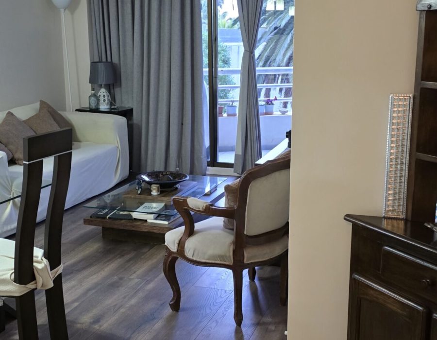 deptoPenhuelasVisMar2