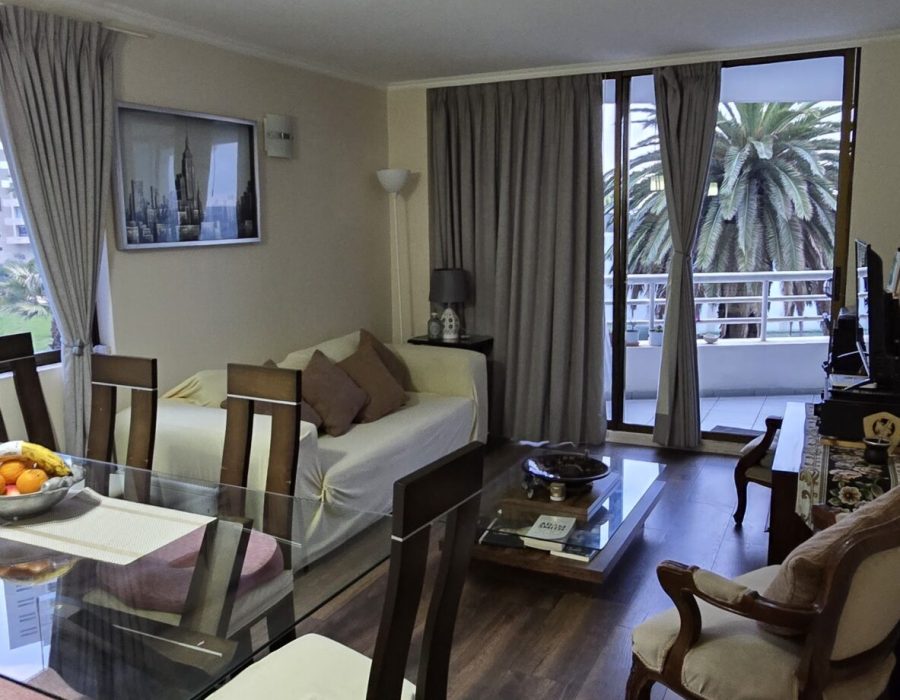 deptoPenhuelasVisMar3