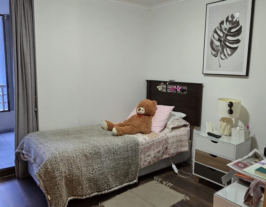 deptoPenhuelasVisMar5