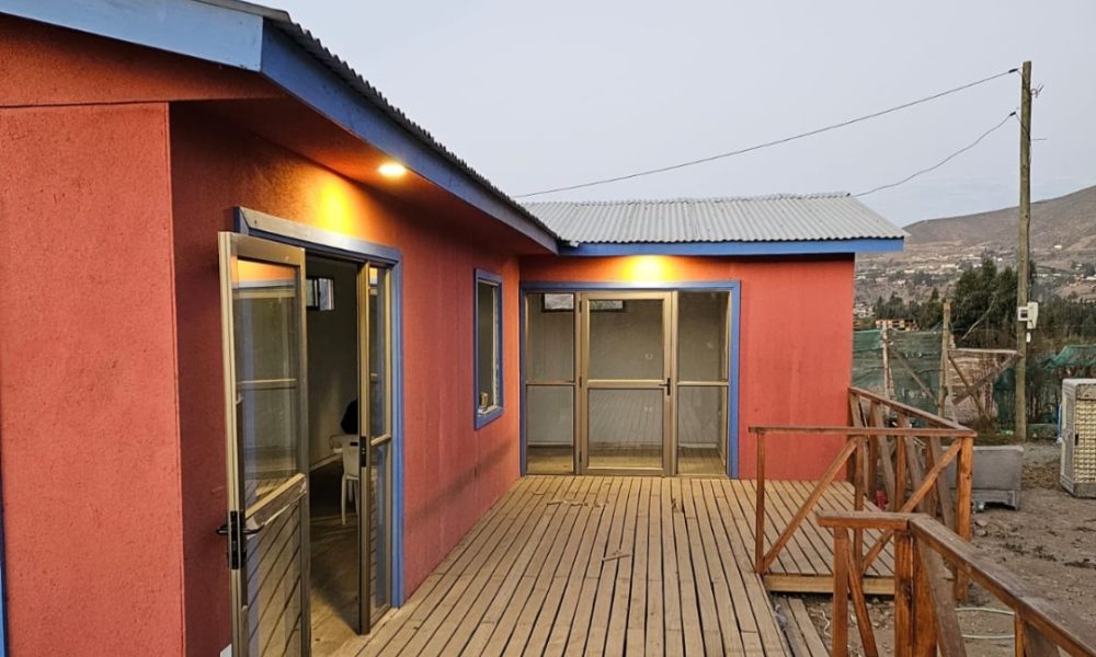 inversiònAlgarrobito3