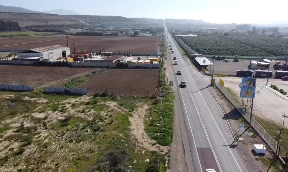 inversiònAlgarrobito4