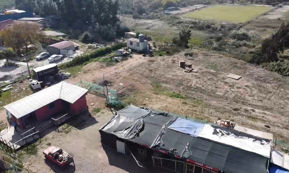 inversiònAlgarrobito5