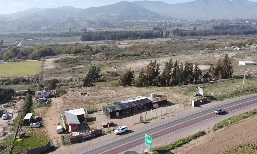 inversiònAlgarrobito6