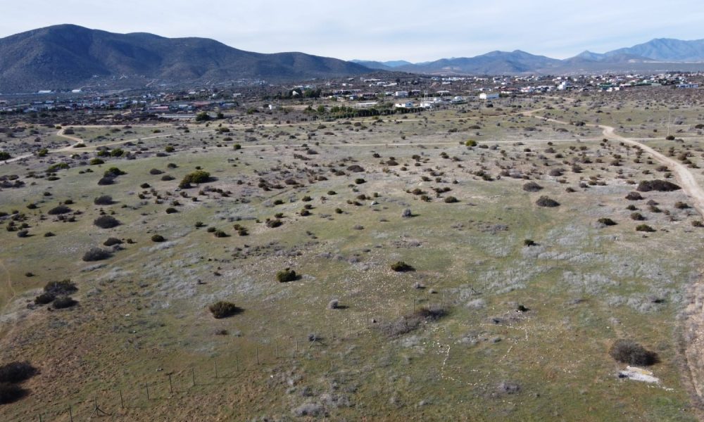 inversionesSectorGuanaquero1