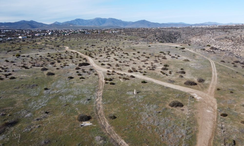 inversionesSectorGuanaquero3