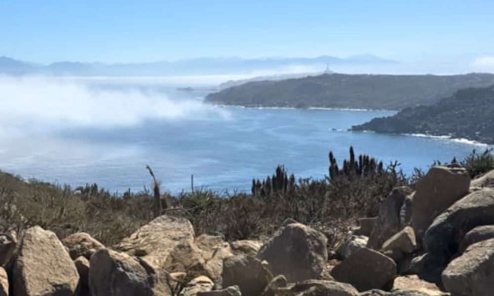 panulCoquimbo9