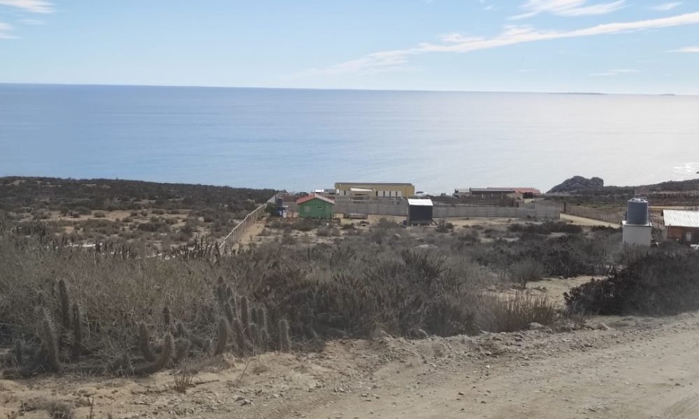 parcArrayanCosteroCasaNuev8