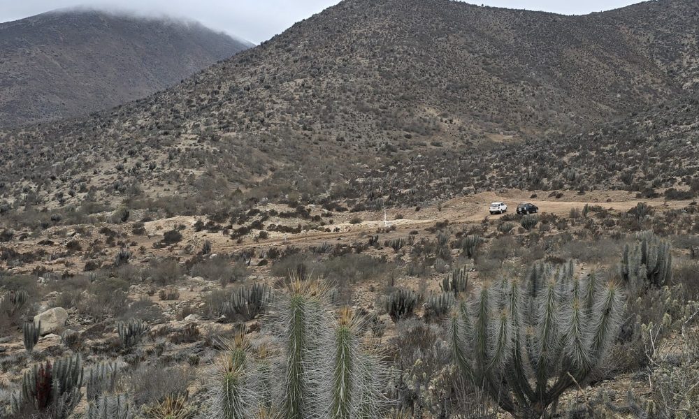 parcelasCincoMilRomeral1