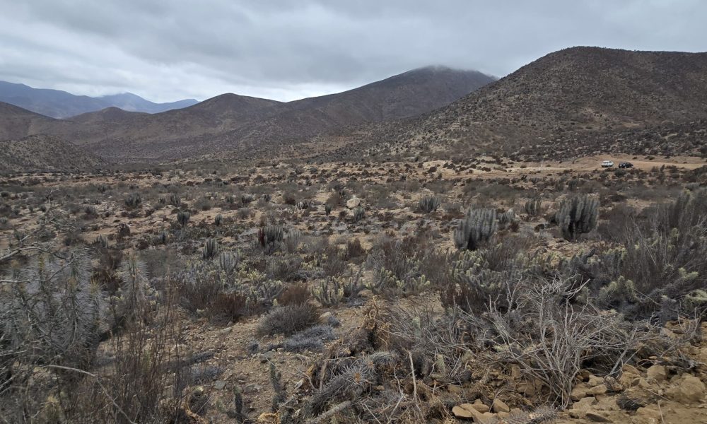 parcelasCincoMilRomeral2