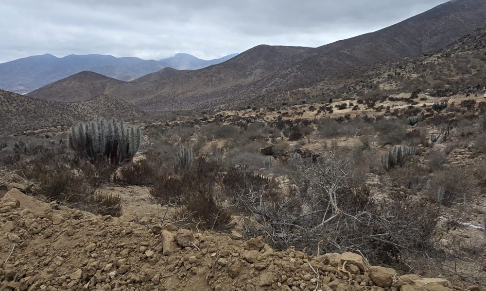 parcelasCincoMilRomeral3